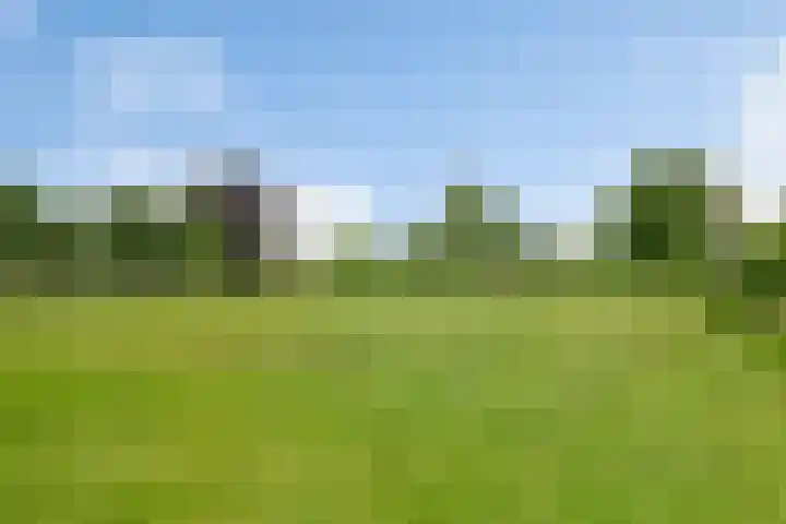 Gever 8 Haaren thumbnail 54