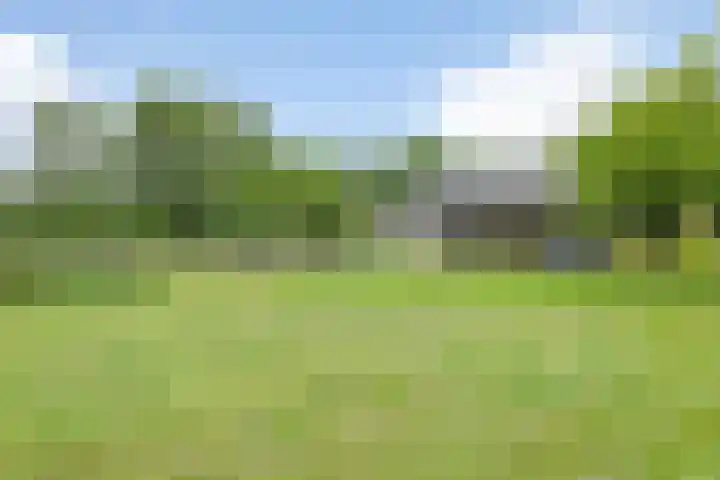 Gever 8 Haaren thumbnail 56