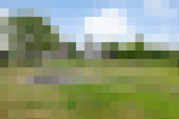 Gever 8 Haaren thumbnail 57