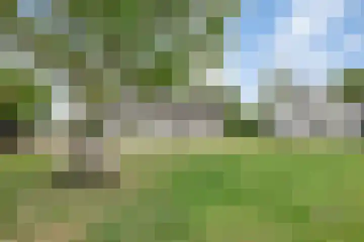 Gever 8 Haaren thumbnail 58
