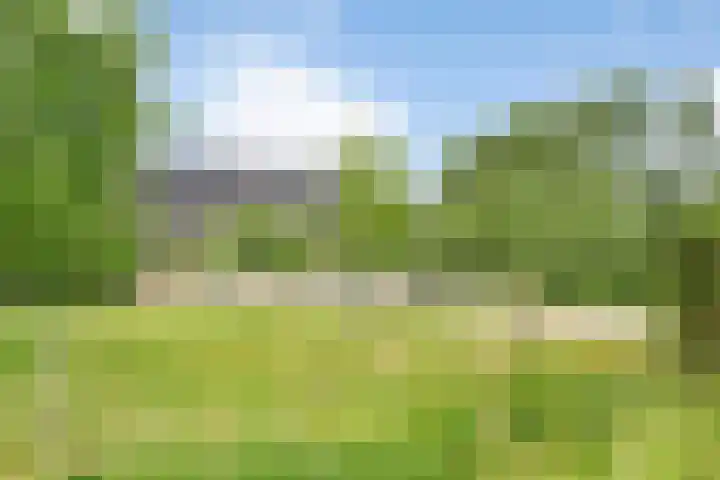 Gever 8 Haaren thumbnail 61