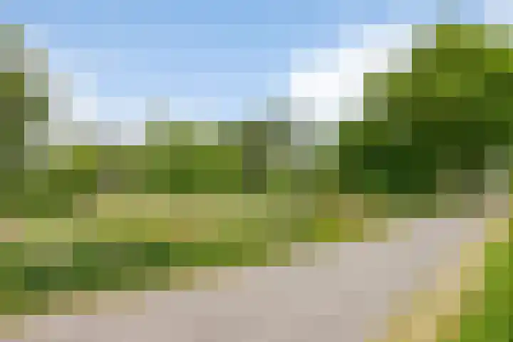 Gever 8 Haaren thumbnail 62