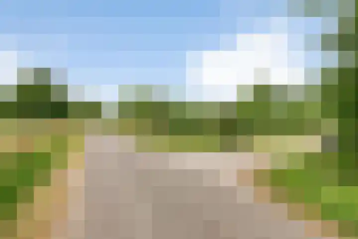 Gever 8 Haaren thumbnail 63