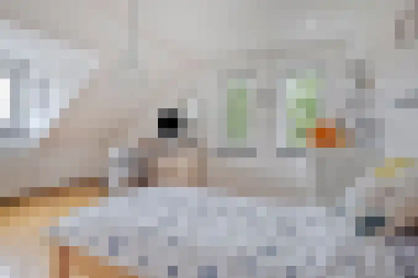 Geverikerstraat 101 Beek thumbnail 19