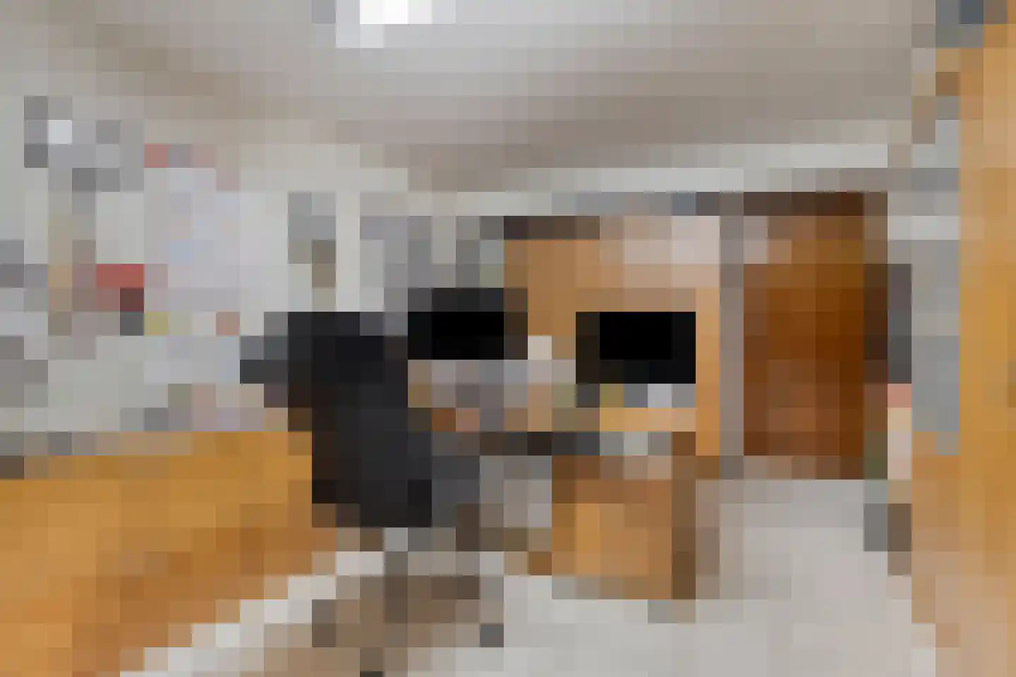 Geverikerstraat 101 Beek thumbnail 31