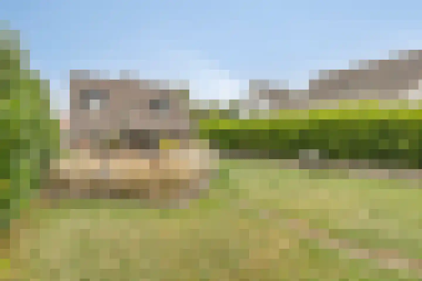 Geverikerstraat 101 Beek thumbnail 39