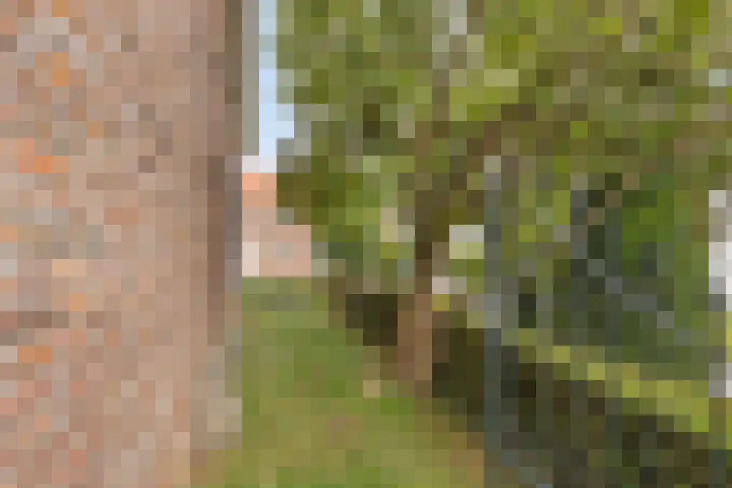 Geverikerstraat 101 Beek thumbnail 43