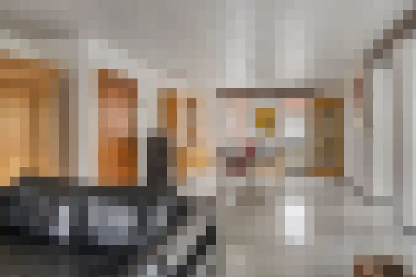 Geverikerstraat 101 Beek thumbnail 9