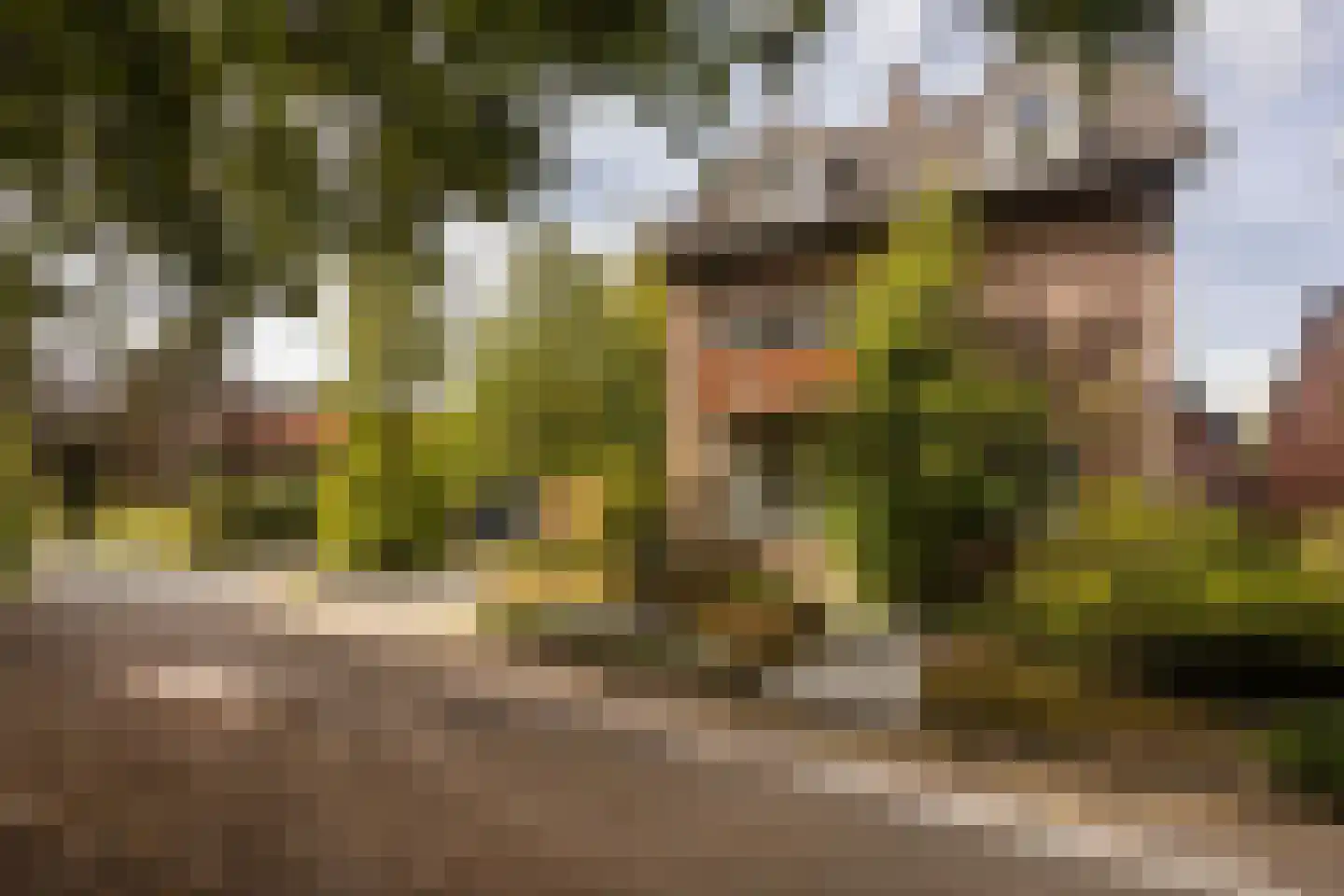 Geverikerstraat 111 Beek thumbnail 10
