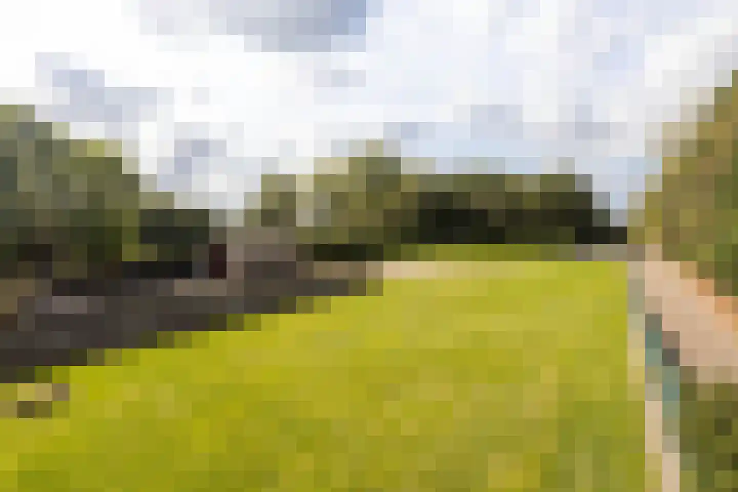 Geverikerstraat 111 Beek thumbnail 108