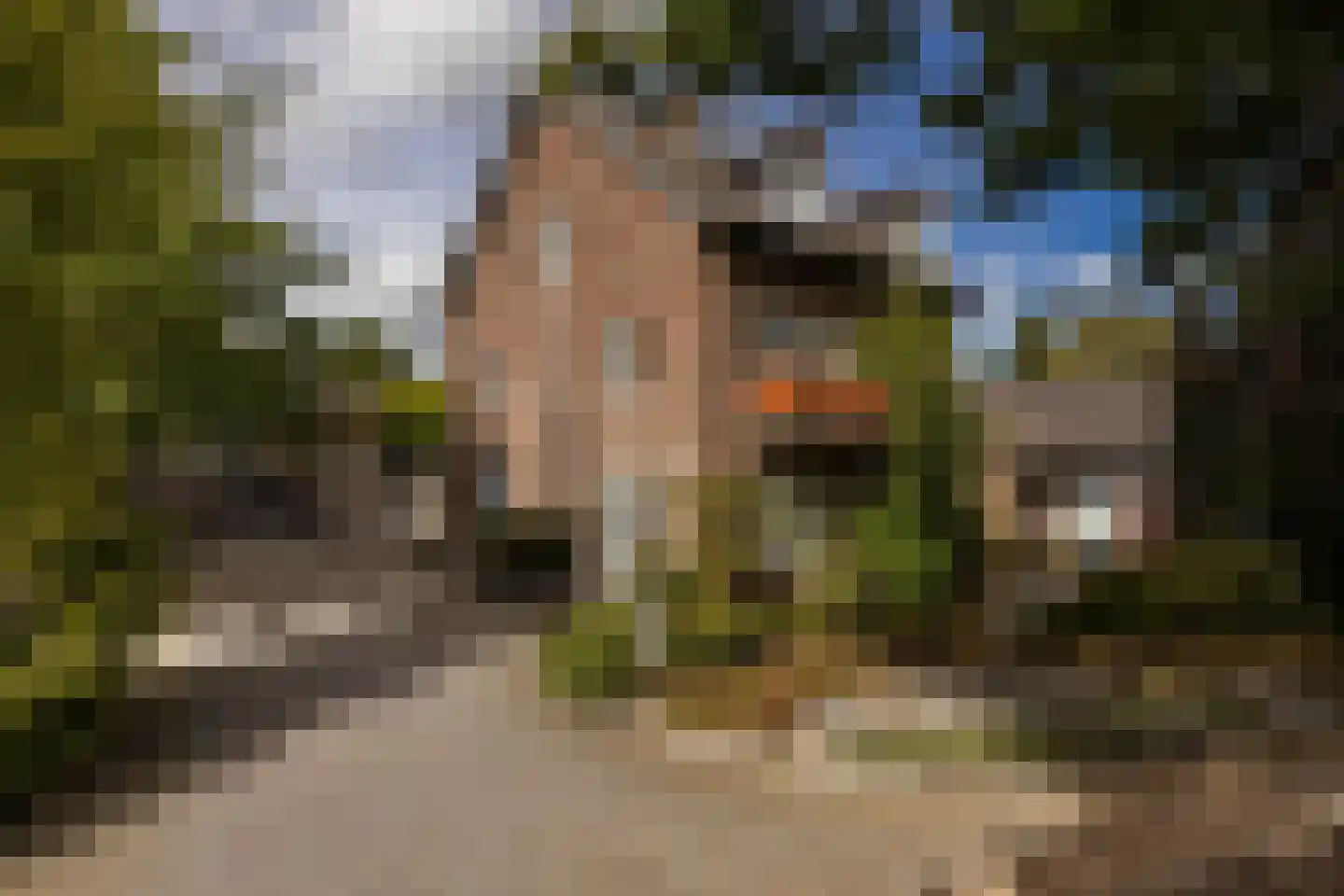 Geverikerstraat 111 Beek thumbnail 12