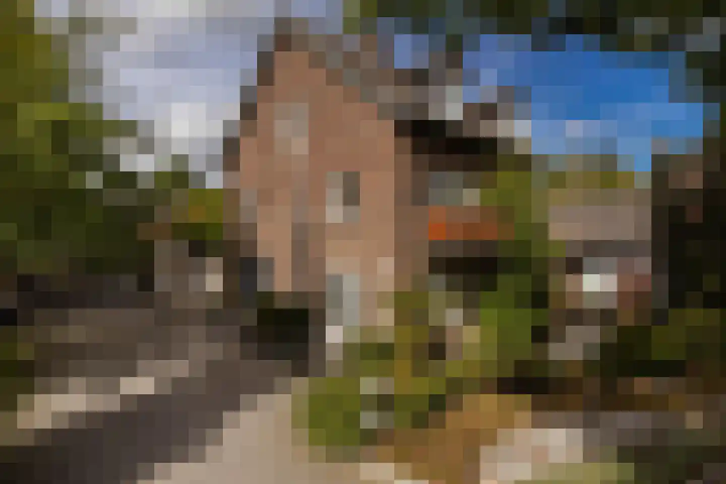 Geverikerstraat 111 Beek thumbnail 13