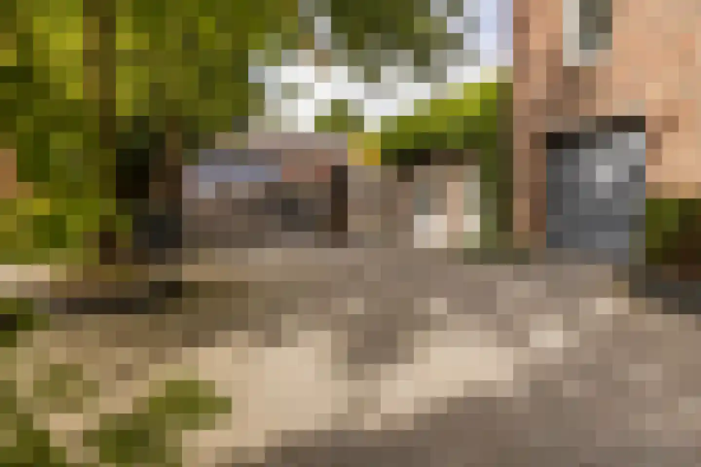 Geverikerstraat 111 Beek thumbnail 14