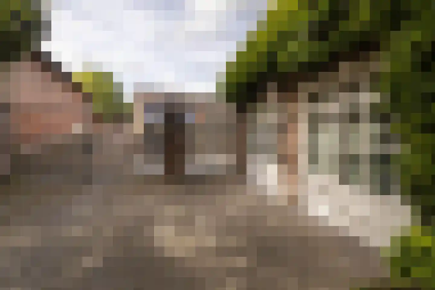 Geverikerstraat 111 Beek thumbnail 16