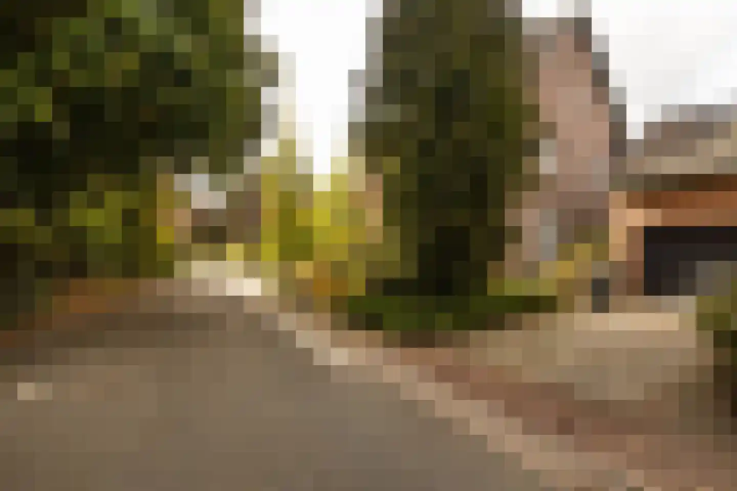 Geverikerstraat 111 Beek thumbnail 18