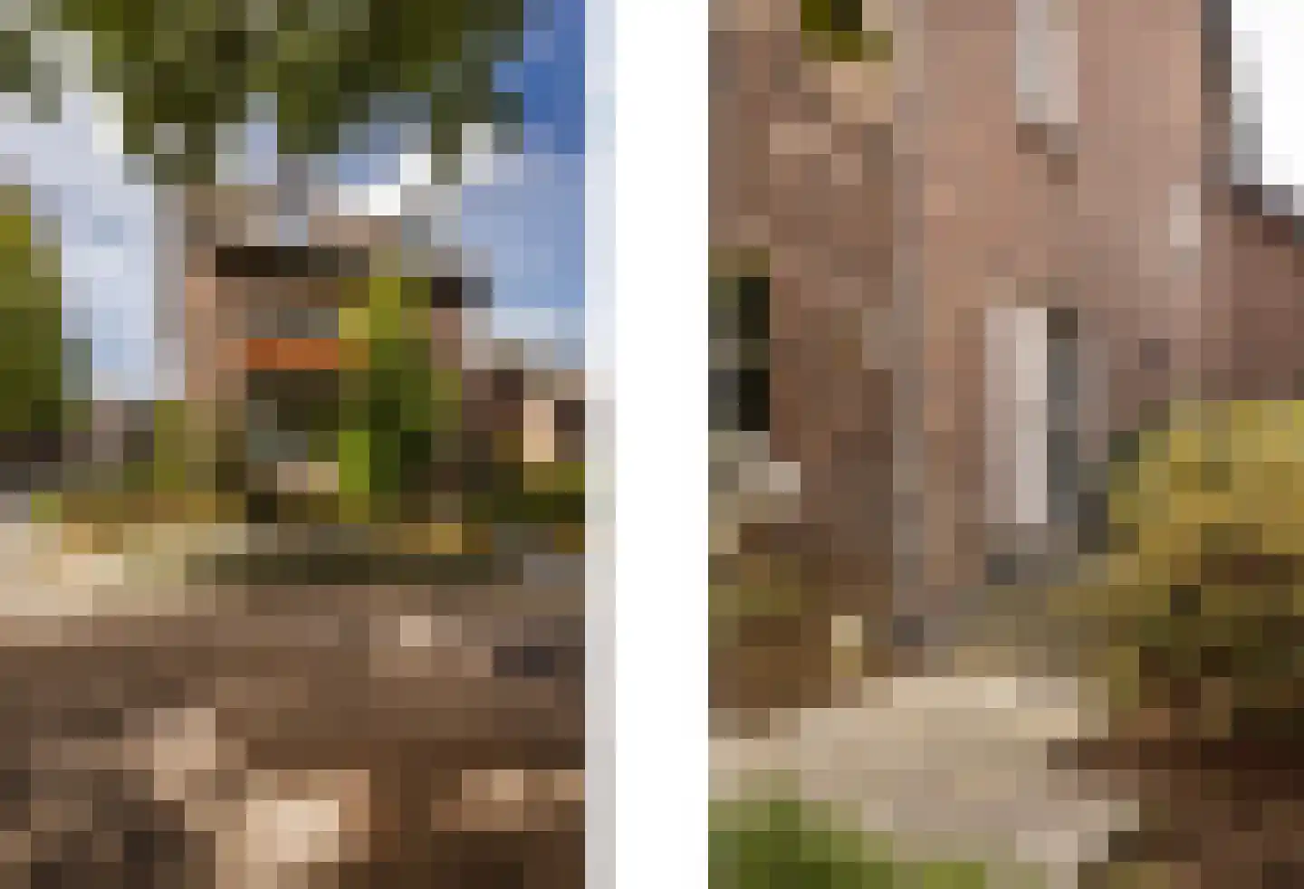 Geverikerstraat 111 Beek thumbnail 19