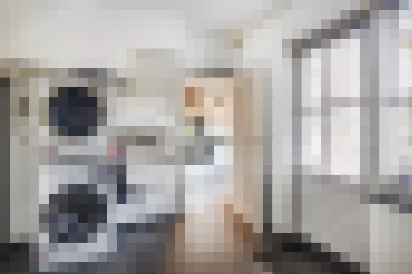 Geverikerstraat 111 Beek thumbnail 36