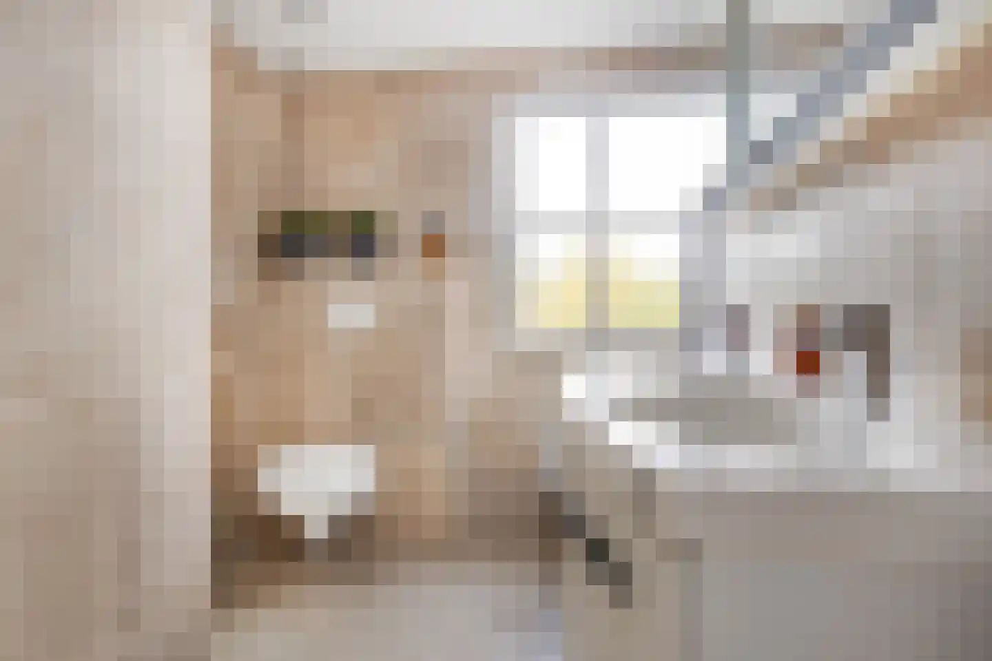 Geverikerstraat 111 Beek thumbnail 43