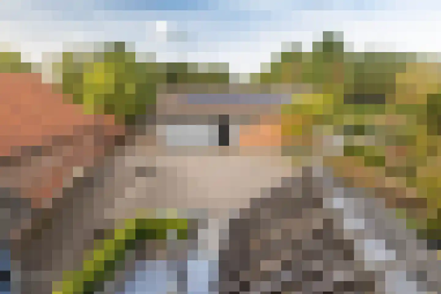 Geverikerstraat 111 Beek thumbnail 49
