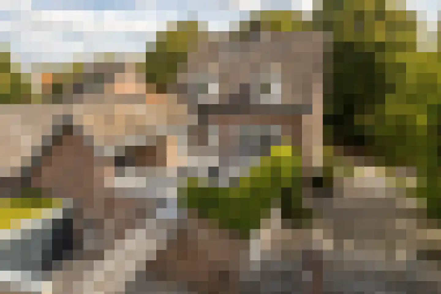 Geverikerstraat 111 Beek thumbnail 5