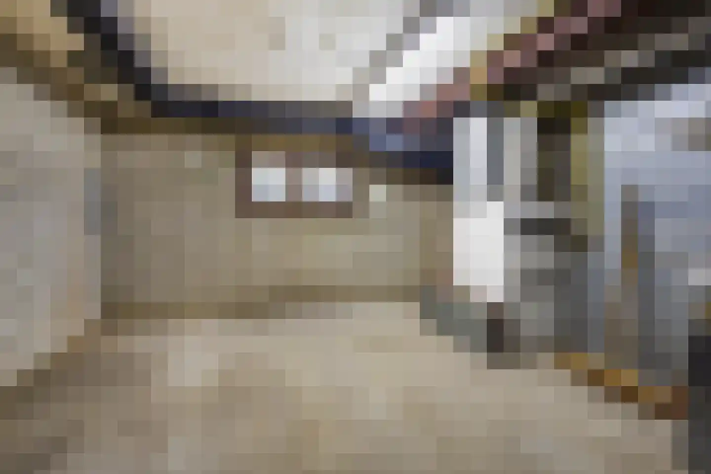Geverikerstraat 111 Beek thumbnail 53