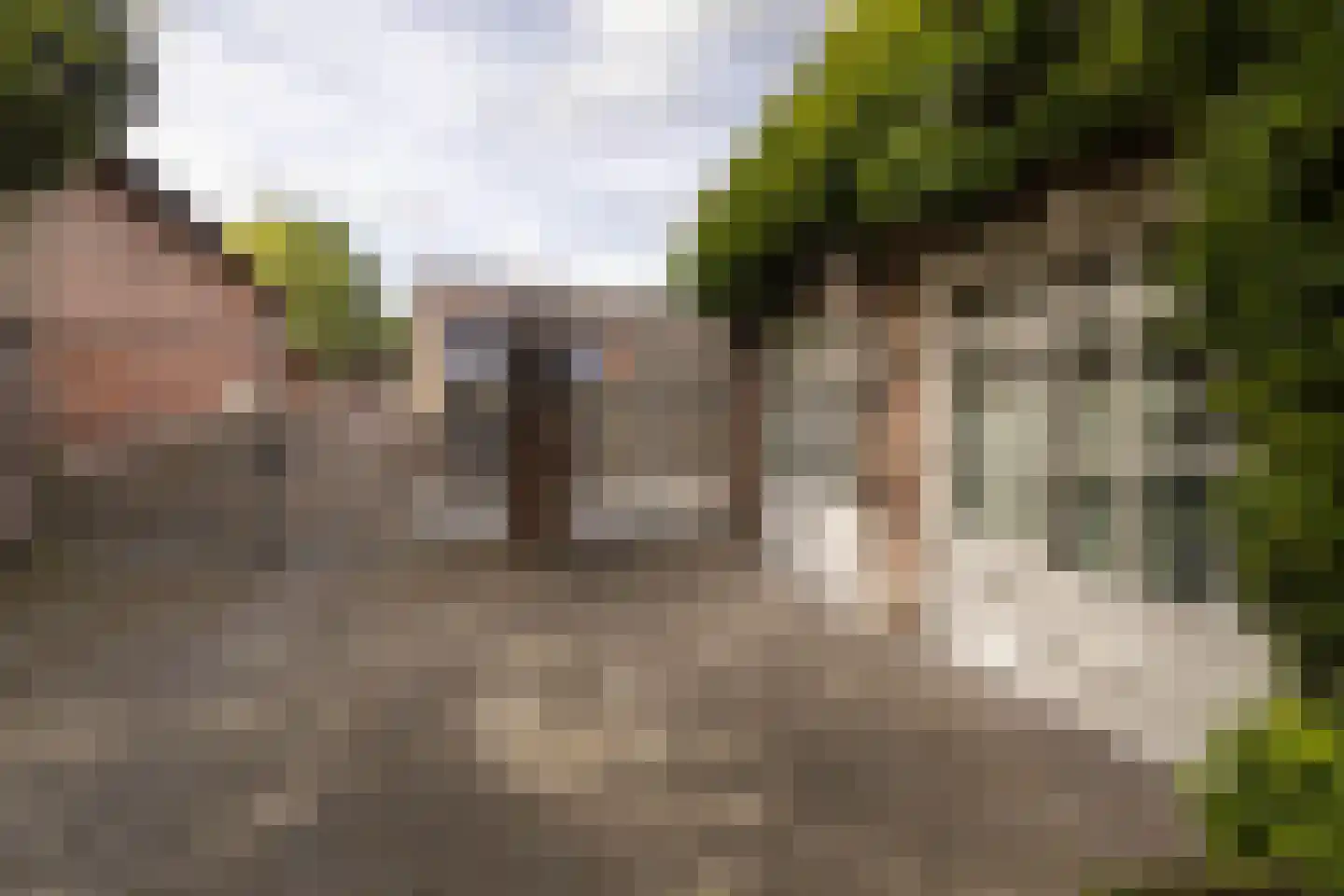 Geverikerstraat 111 Beek thumbnail 59