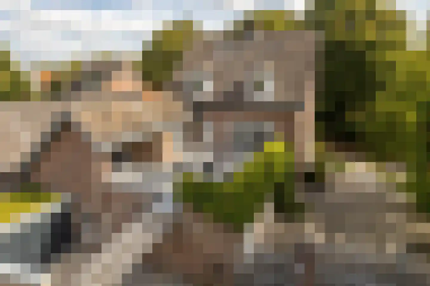 Geverikerstraat 111 Beek thumbnail 77