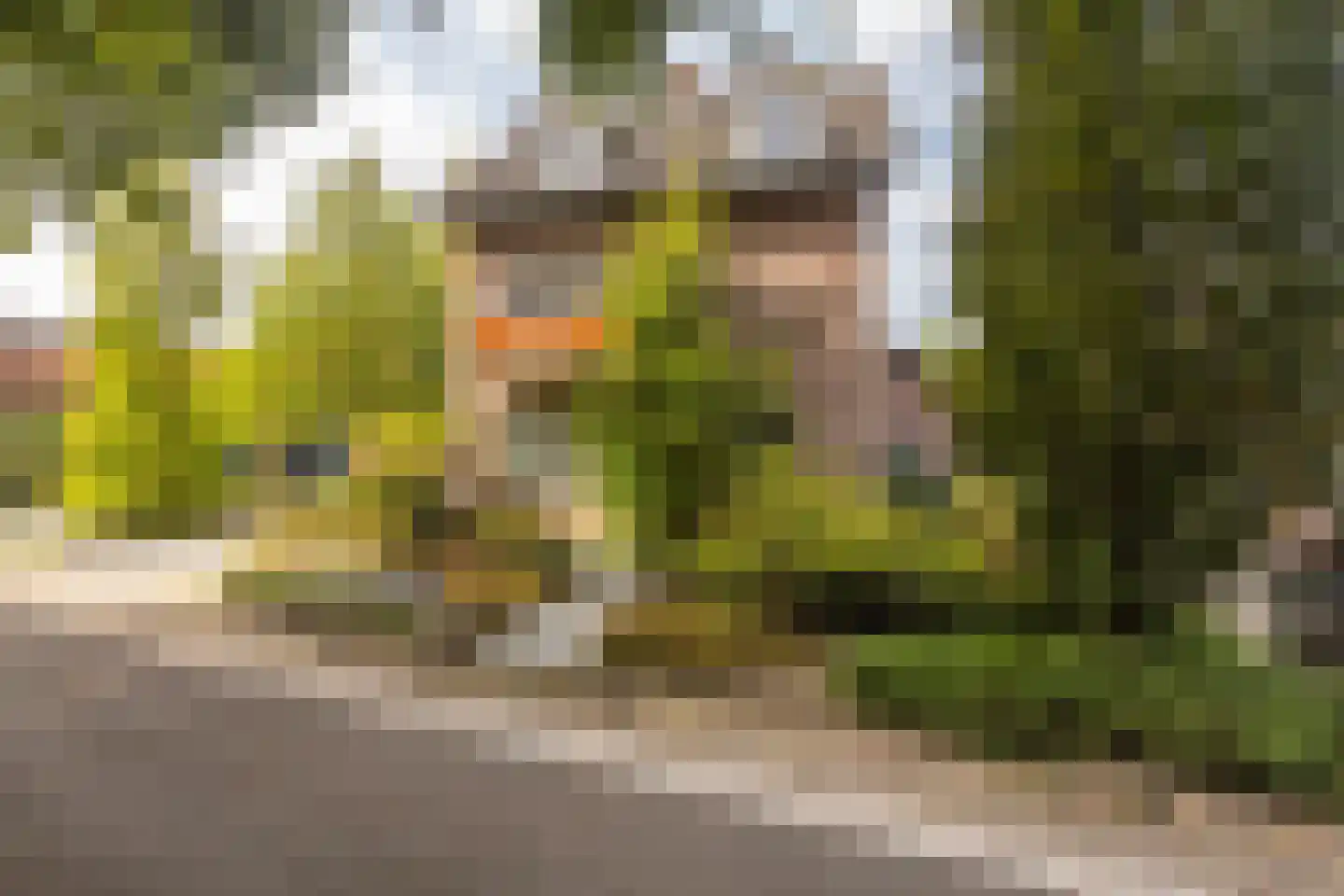 Geverikerstraat 111 Beek thumbnail 8