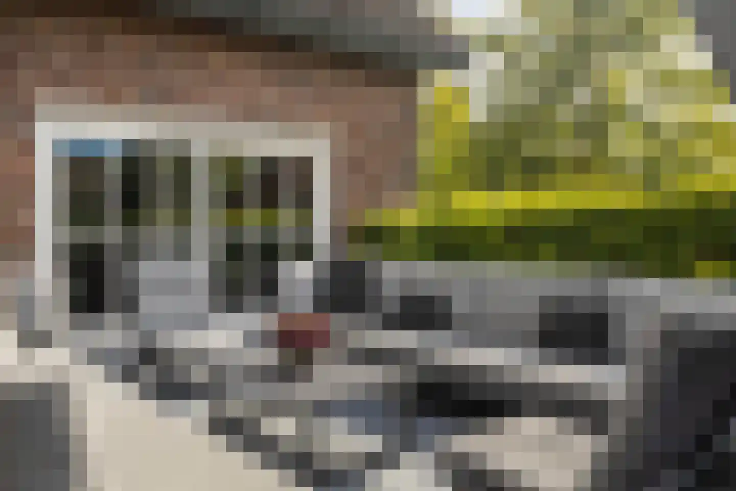 Geverikerstraat 111 Beek thumbnail 80