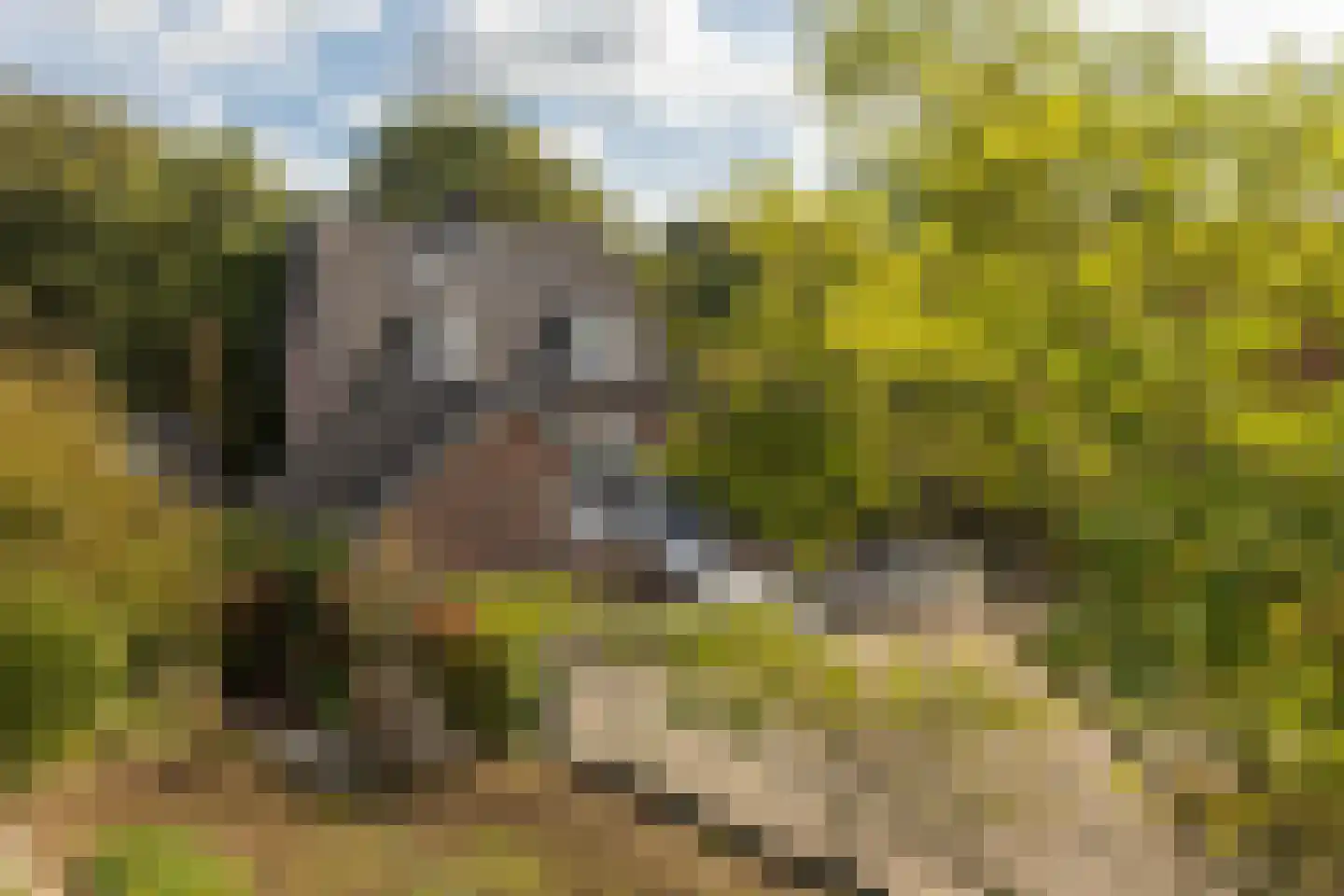 Geverikerstraat 111 Beek thumbnail 81