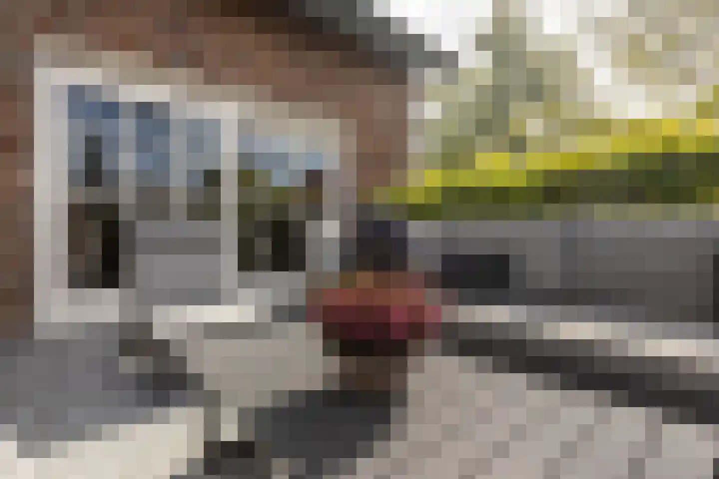 Geverikerstraat 111 Beek thumbnail 84