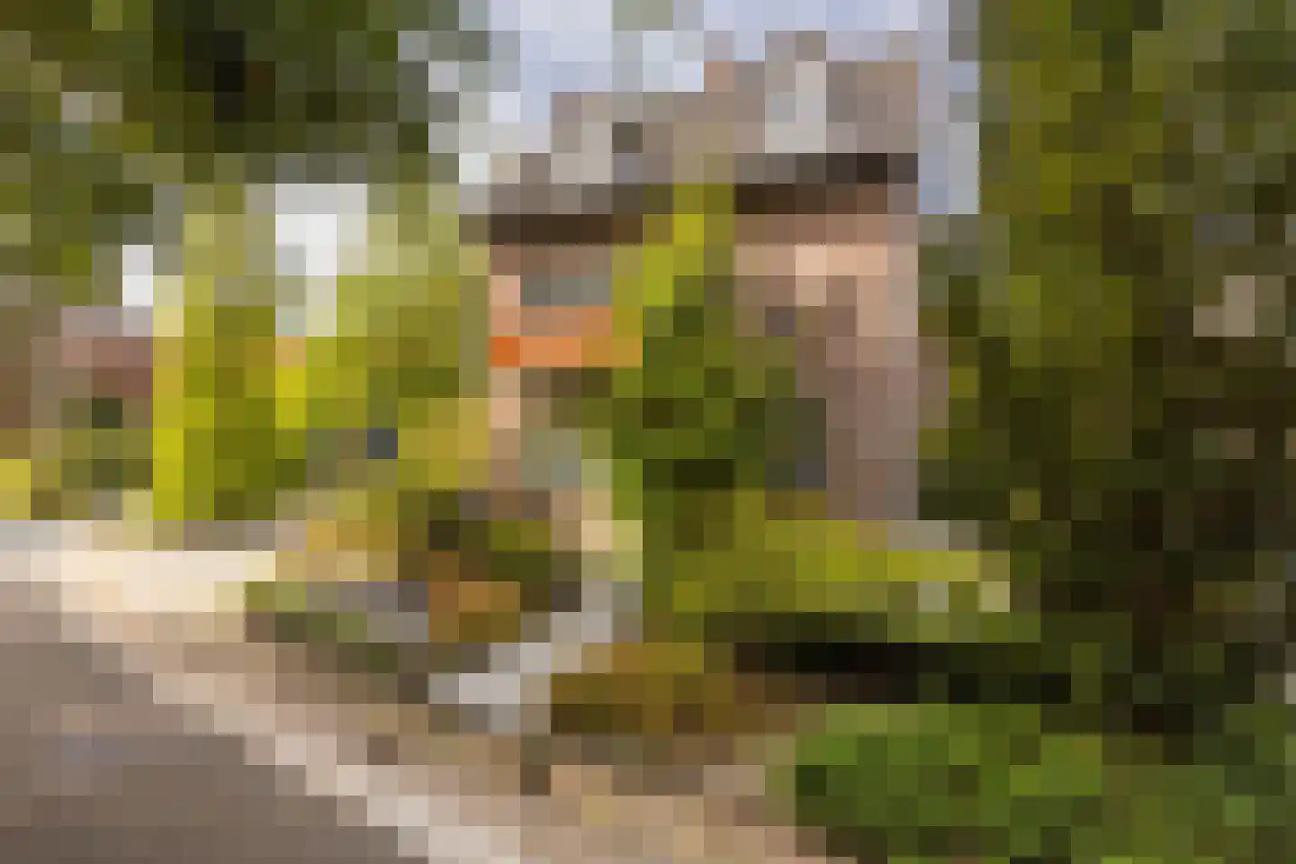 Geverikerstraat 111 Beek thumbnail 9