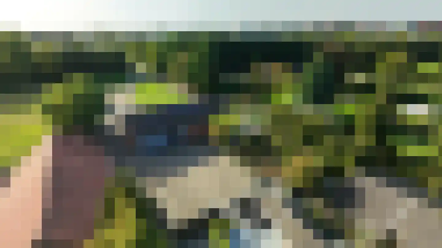 Geverikerstraat 111 Beek thumbnail 91