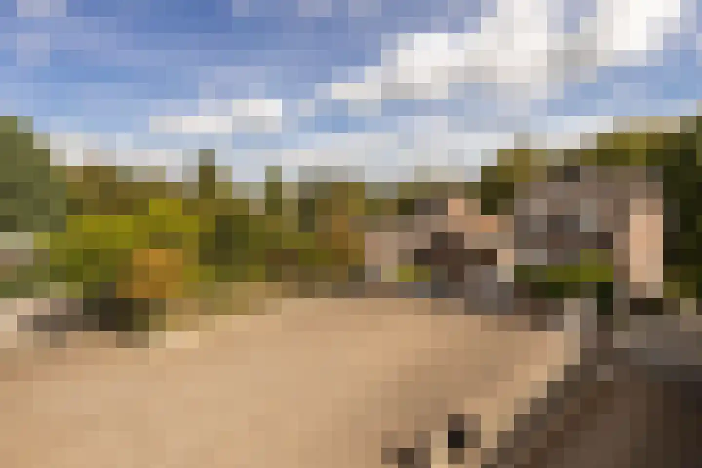 Geverikerstraat 111 Beek thumbnail 93