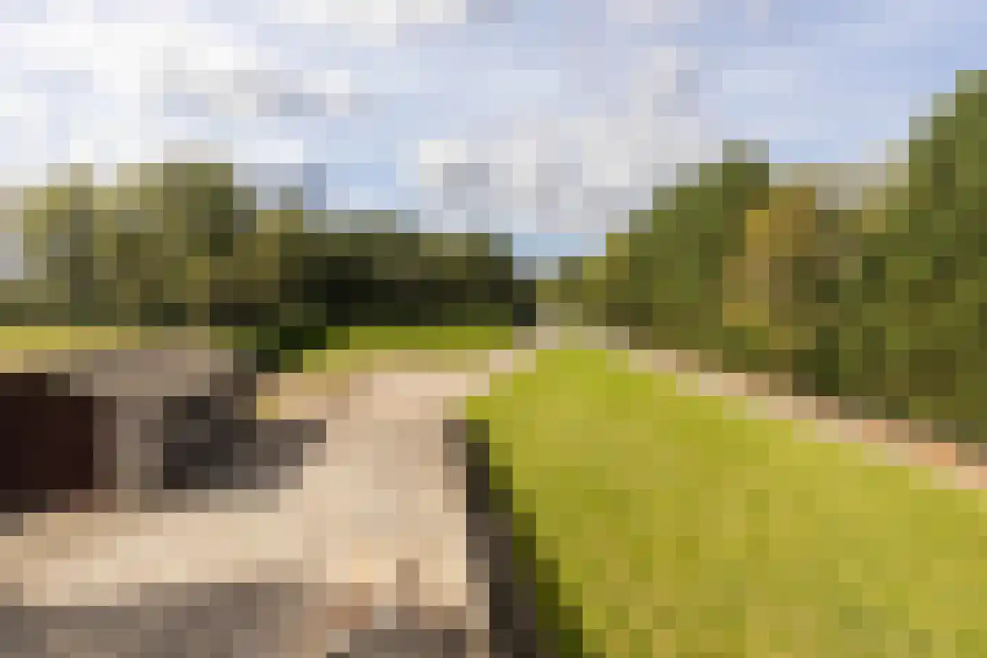 Geverikerstraat 111 Beek thumbnail 96