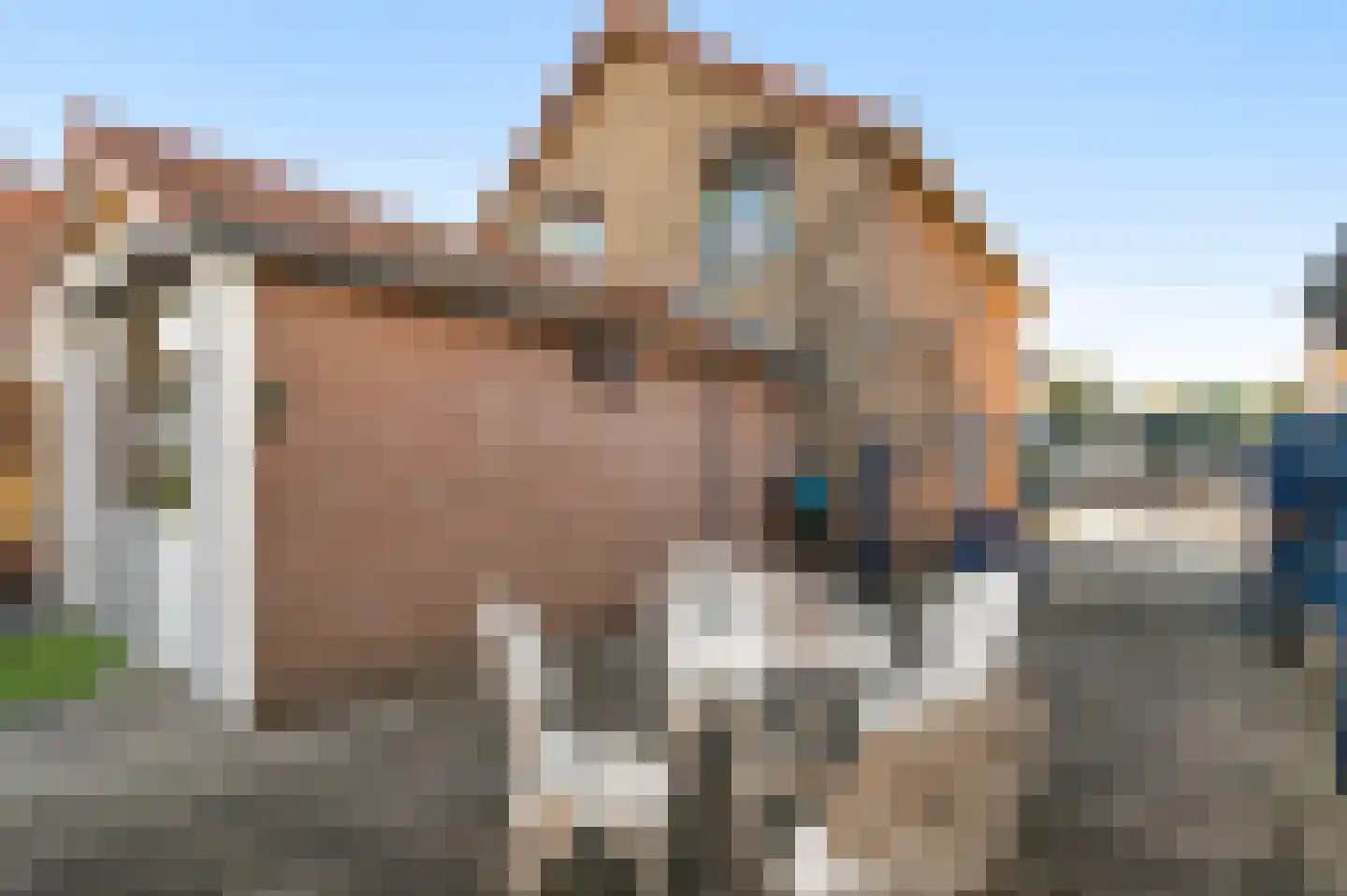 Geverikerstraat 38 Beek thumbnail 38