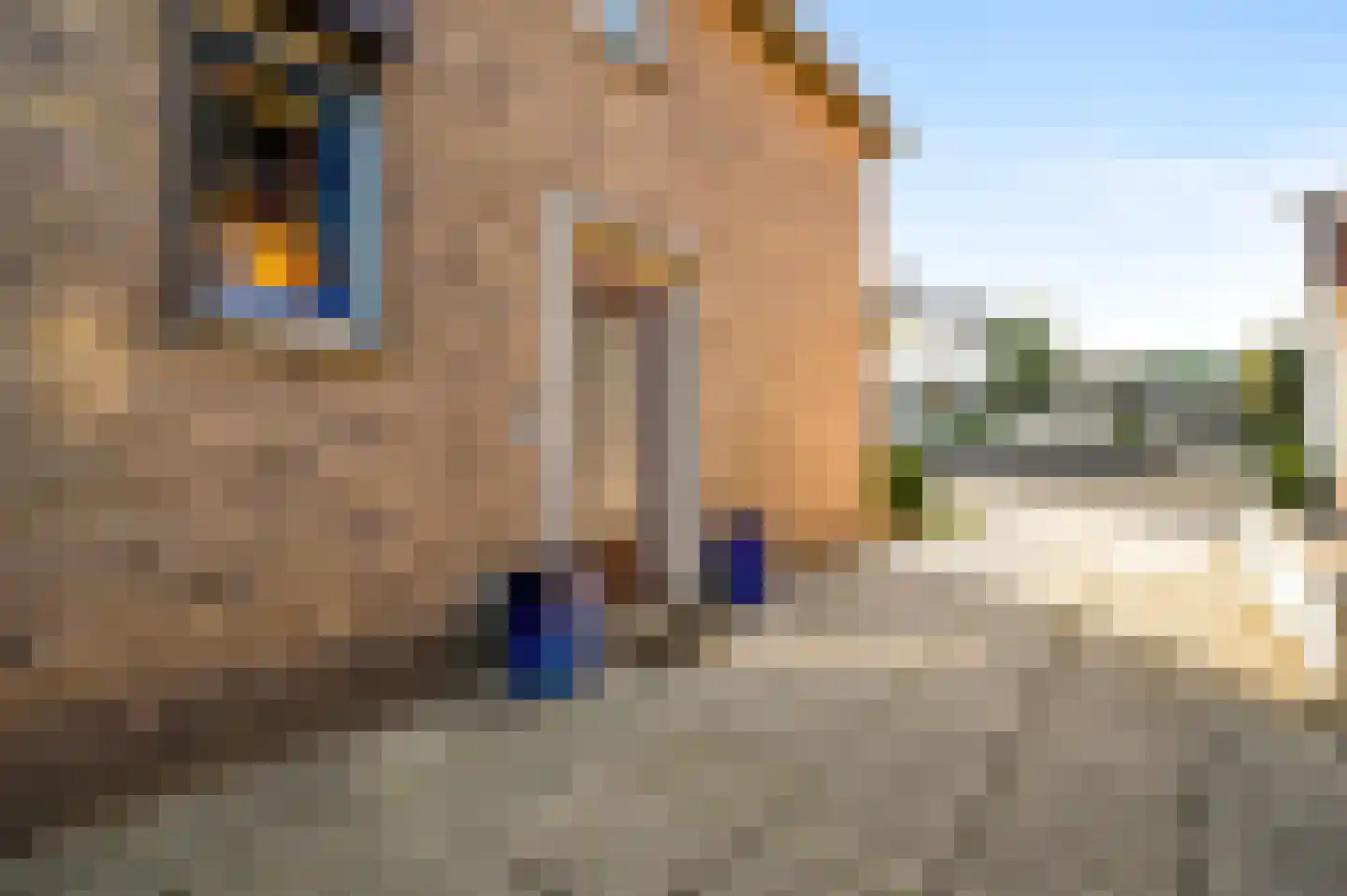 Geverikerstraat 38 Beek thumbnail 40