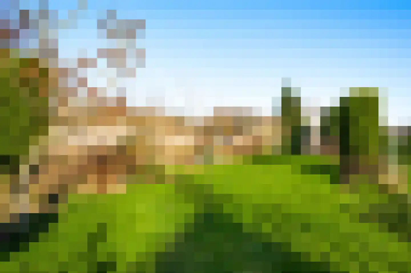 Geverikerstraat 38 Beek thumbnail 6