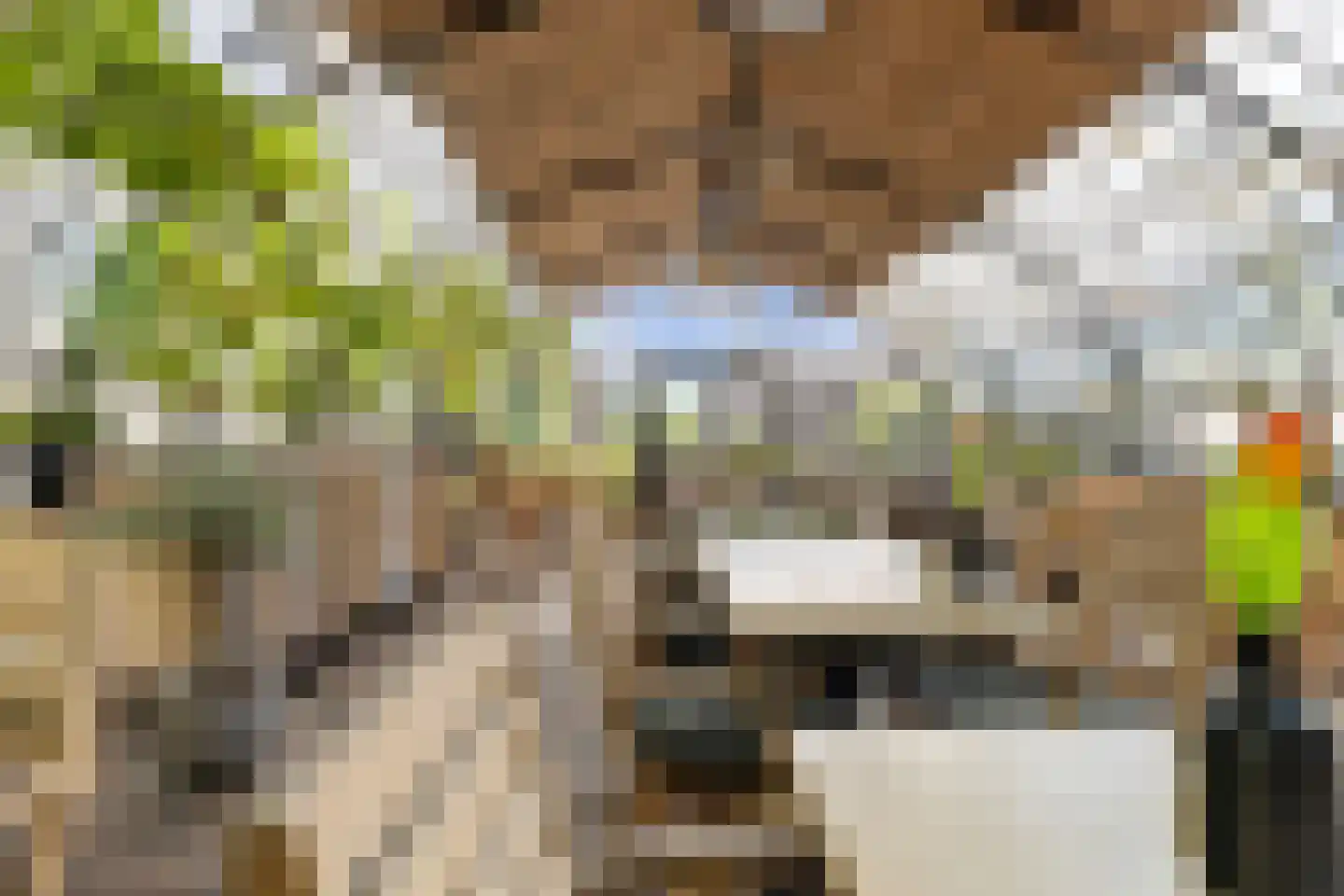 Geverikerstraat 42 Beek thumbnail 12