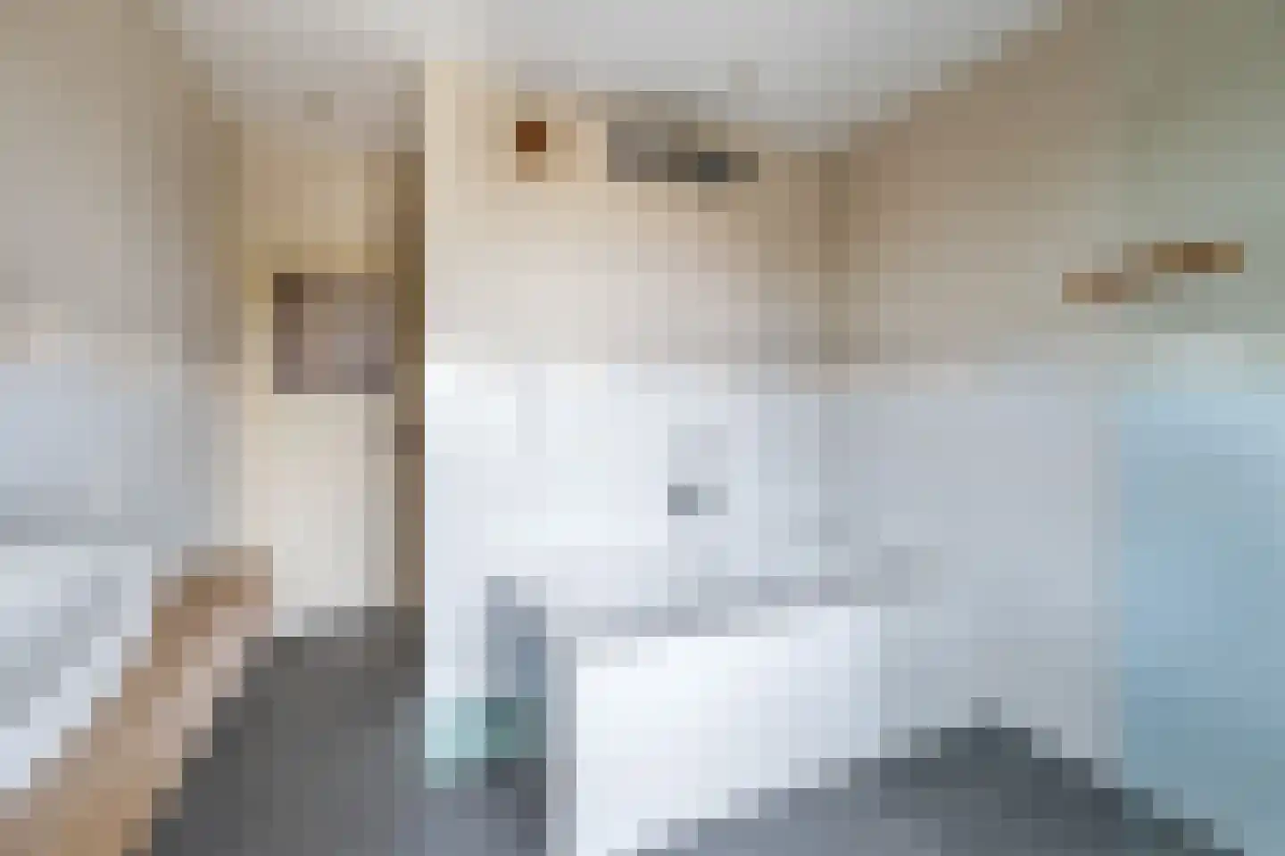 Geverikerstraat 42 Beek thumbnail 18