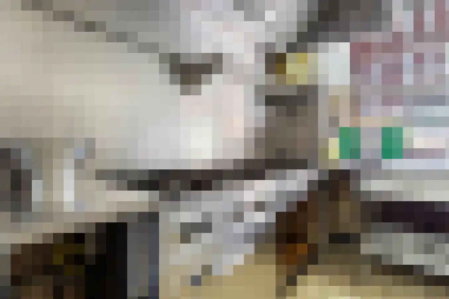 Geverikerstraat 42 Beek thumbnail 9