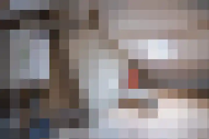 Geverikerstraat 60 Beek thumbnail 20