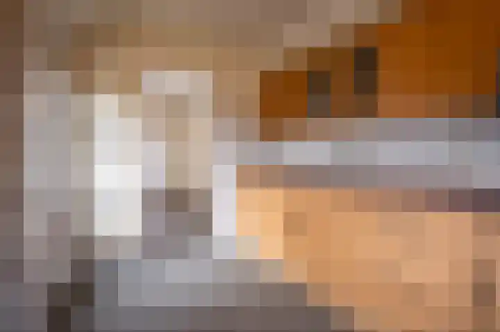 Geverikerstraat 60 Beek thumbnail 7