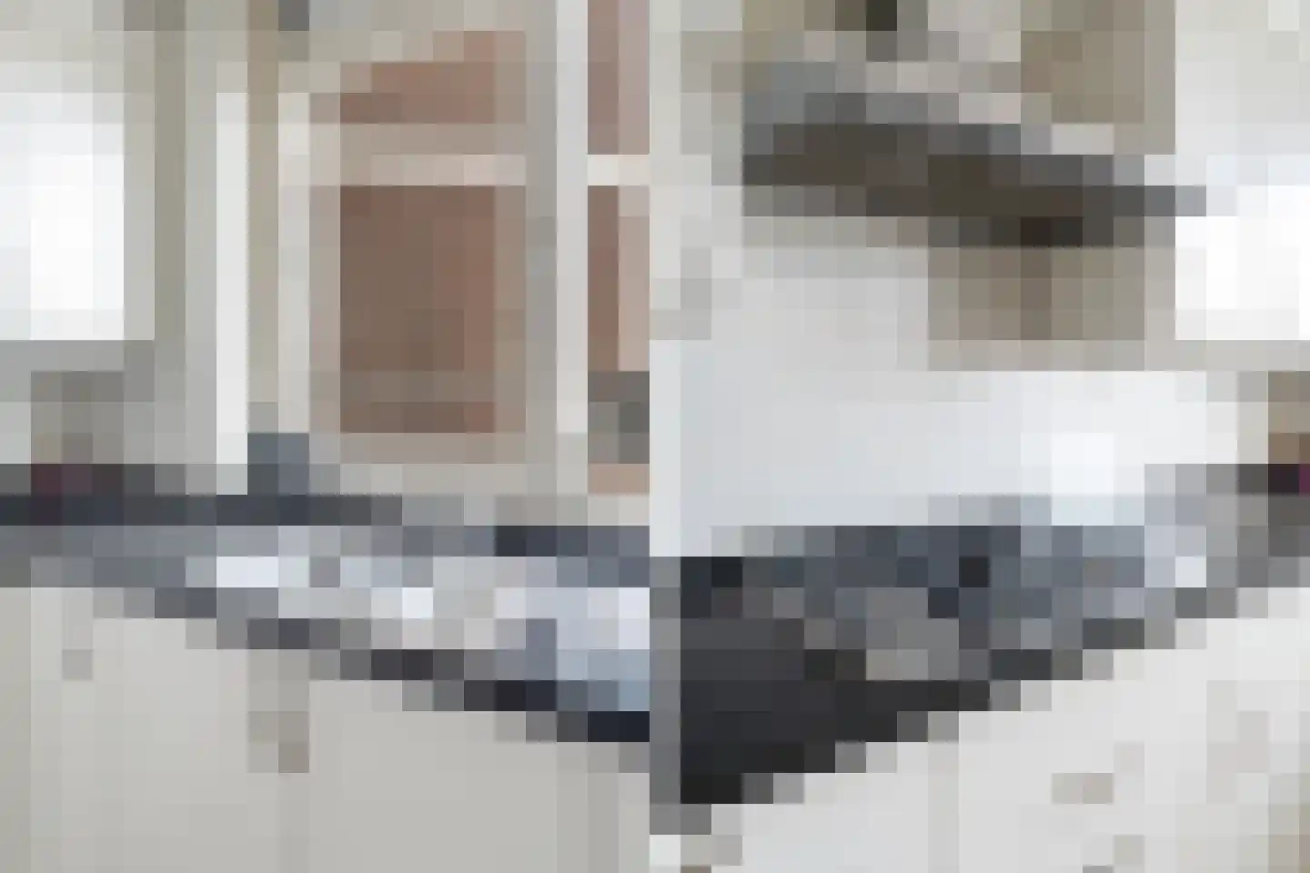 Gevers Deynootplein 176 Den Haag thumbnail 19
