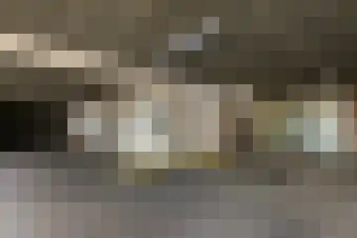 Gevers Deynootplein 216 Den Haag thumbnail 36