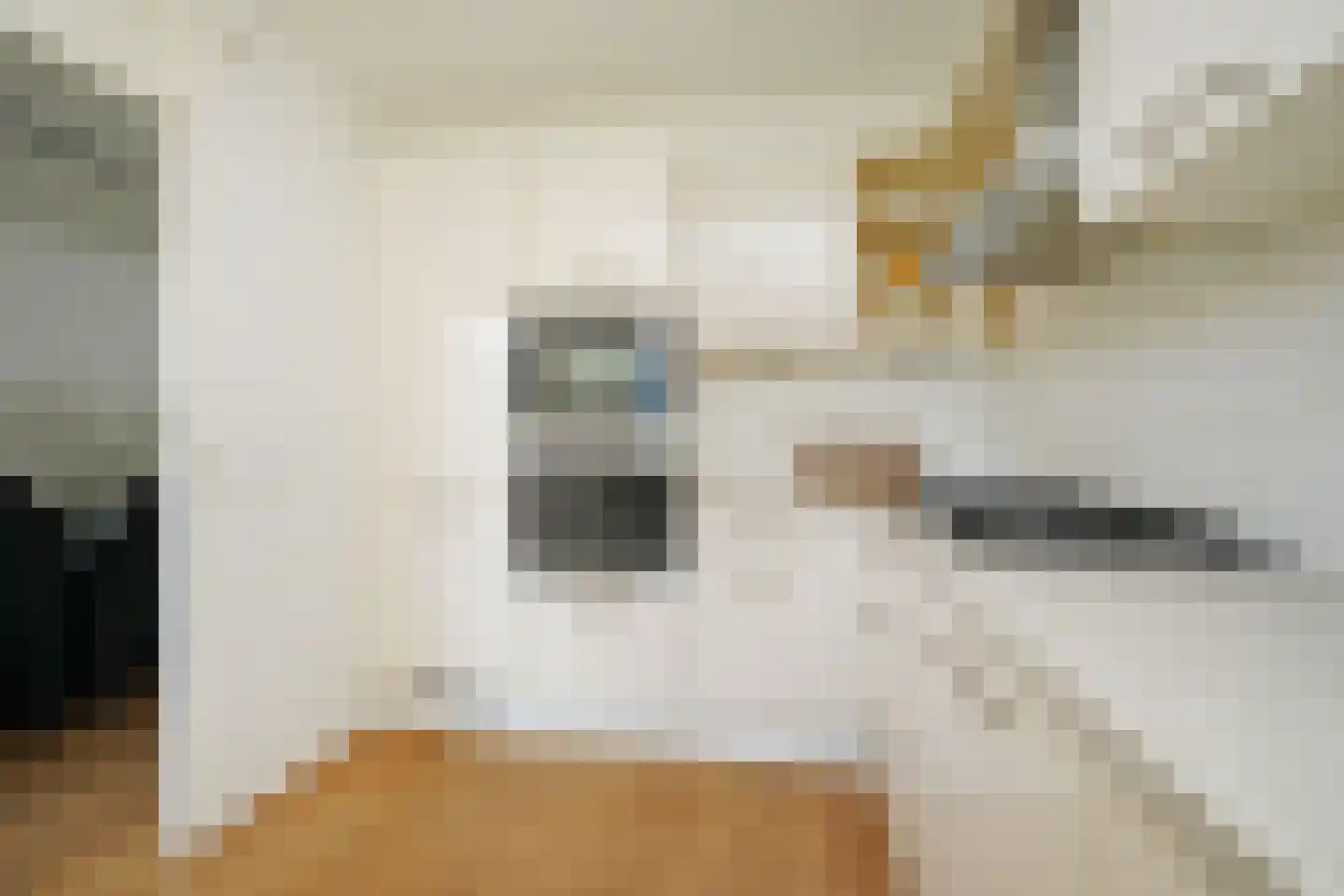 Gevers Deynootplein 88 Den Haag thumbnail 27