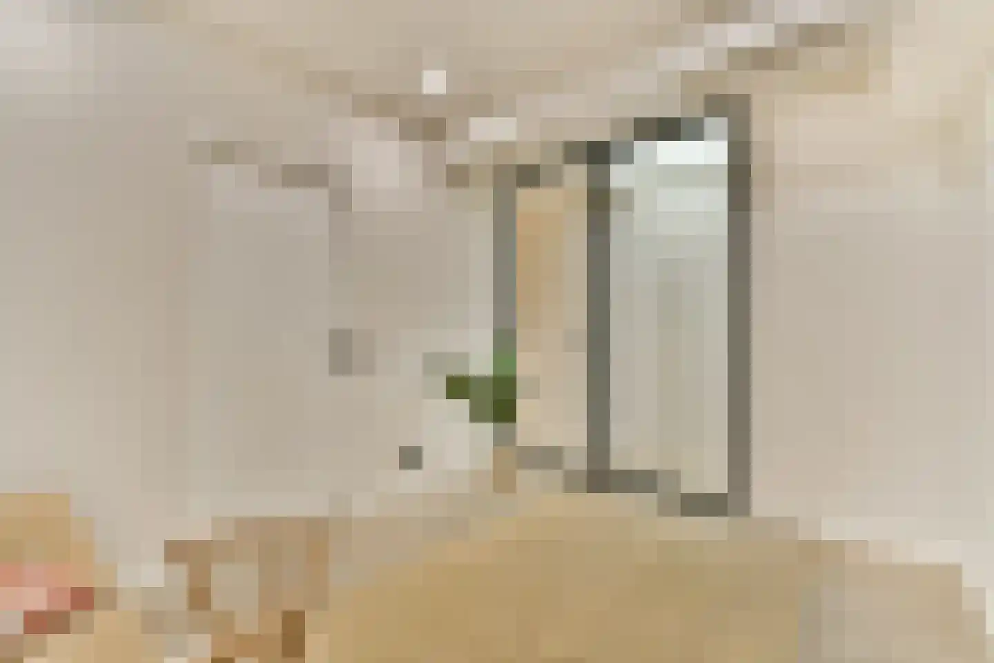 Gevers Deynootstraat 72 Den Haag thumbnail 22