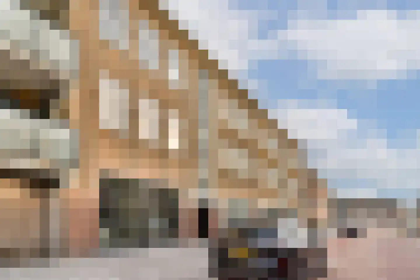 Gevers Deynootstraat 72 Den Haag thumbnail 35