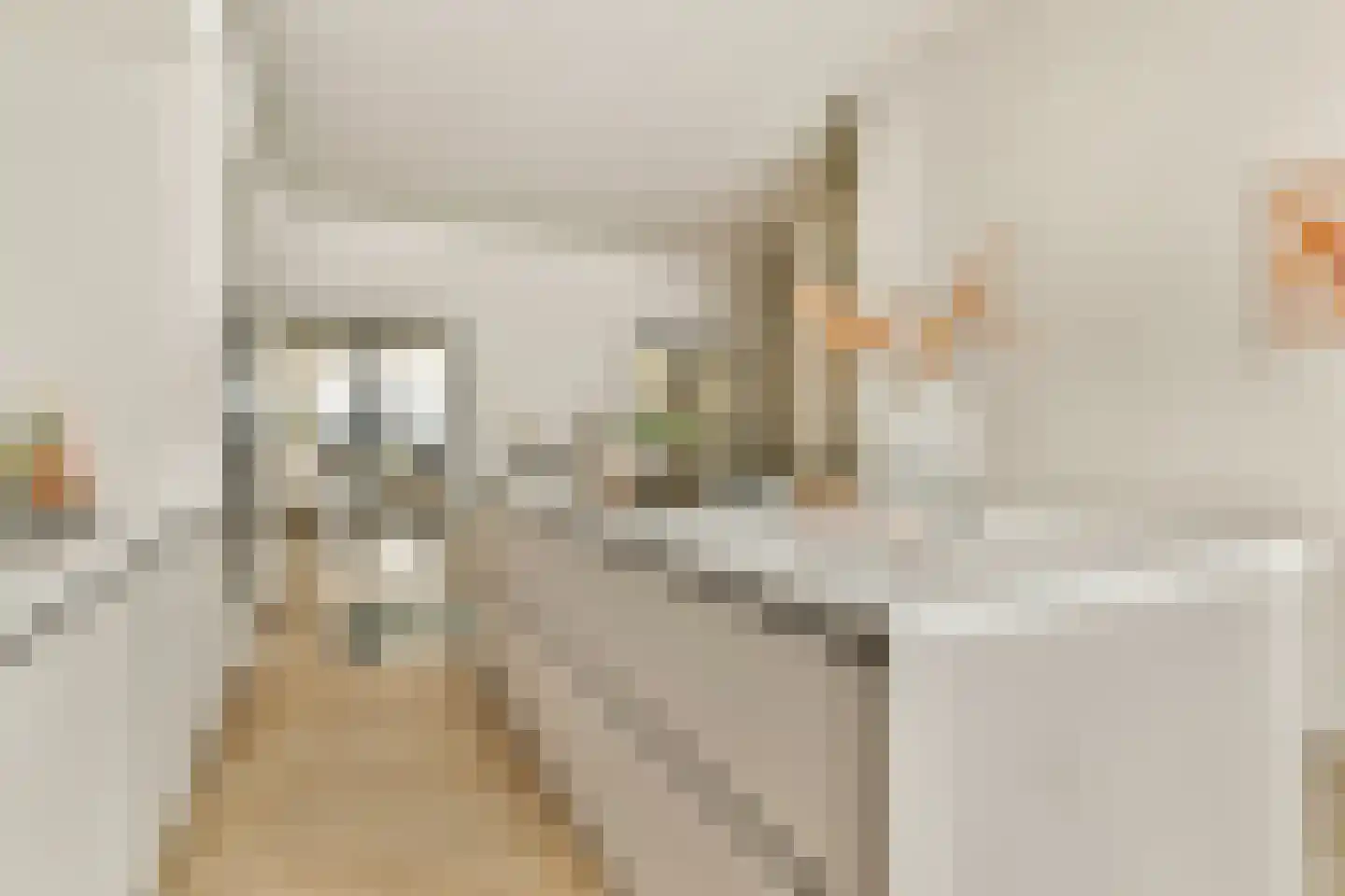Gevers Deynootstraat 72 Den Haag thumbnail 4