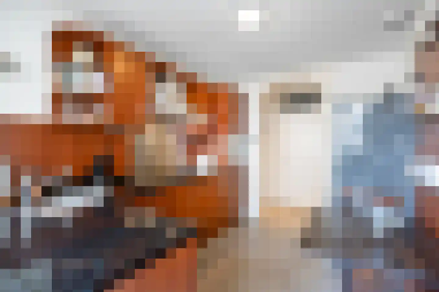 Gevers Deynootweg 1000 Den Haag thumbnail 13